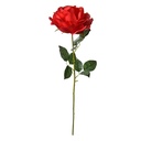 5PL0138R_02.jpg
