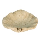 6TE0384_04.jpg