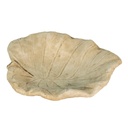 6TE0384_05.jpg