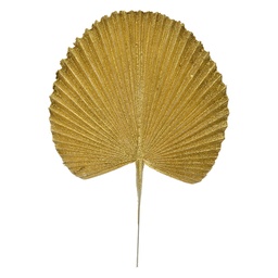 65807_02.jpg