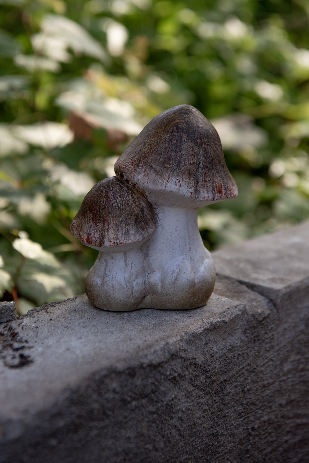 SF_6CE1768_01.jpg