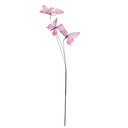 50855_02.jpg