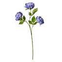 5PL0166BL_02.jpg