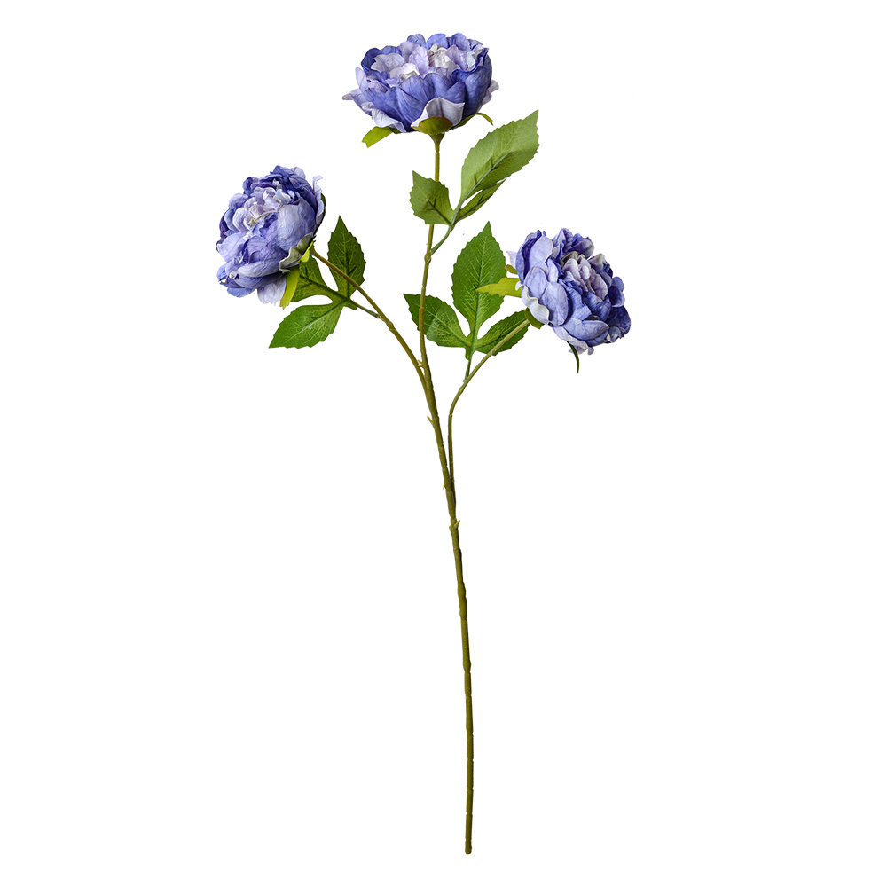 5PL0166BL_02.jpg