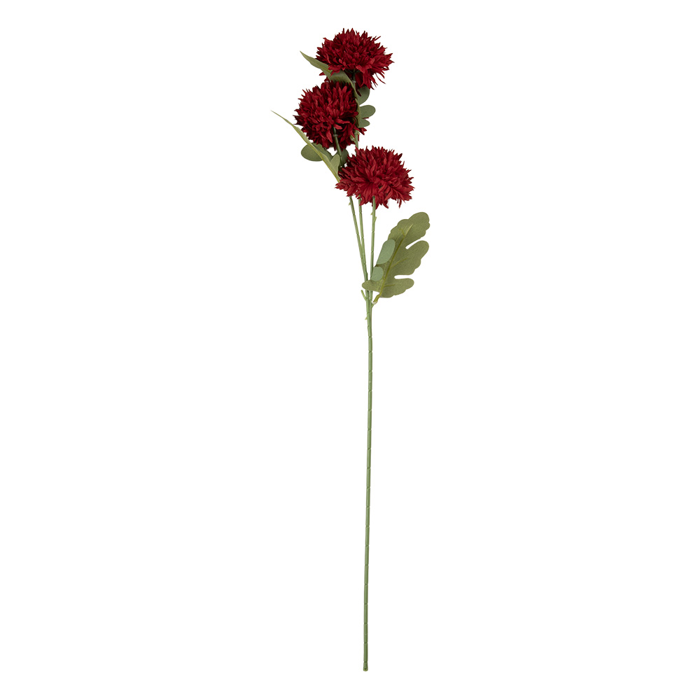 6PL0397R_02.jpg
