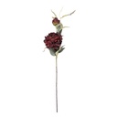 5PL0244BU_02.jpg