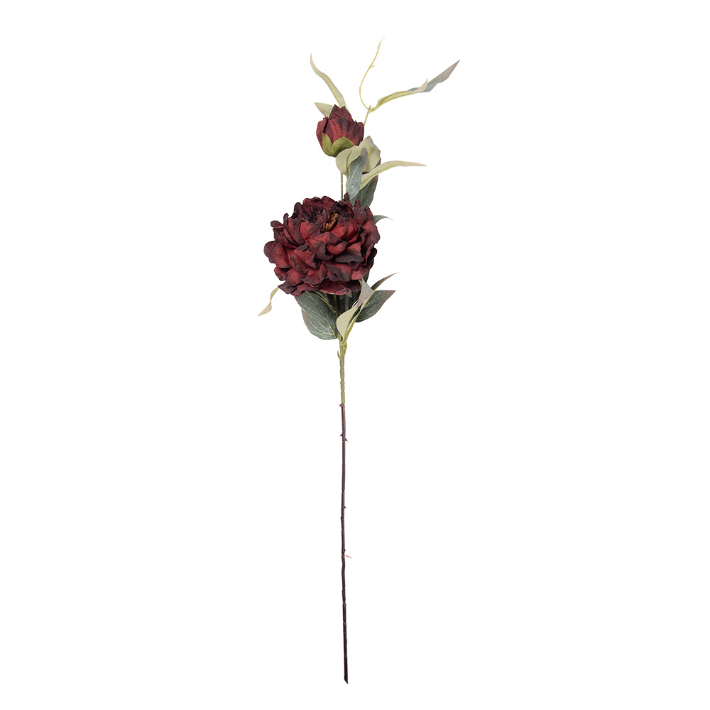 5PL0244BU_02.jpg