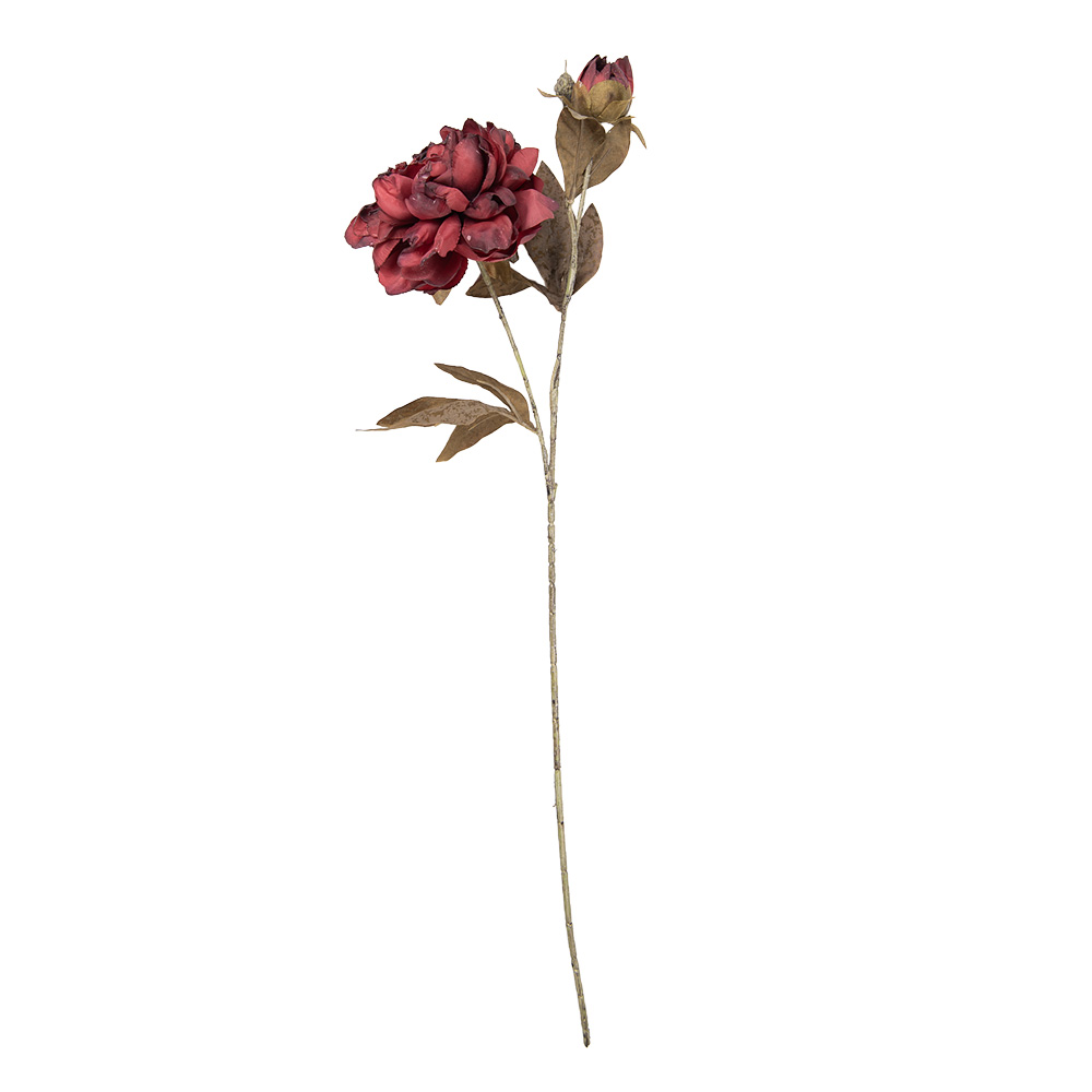 5PL0243R_02.jpg
