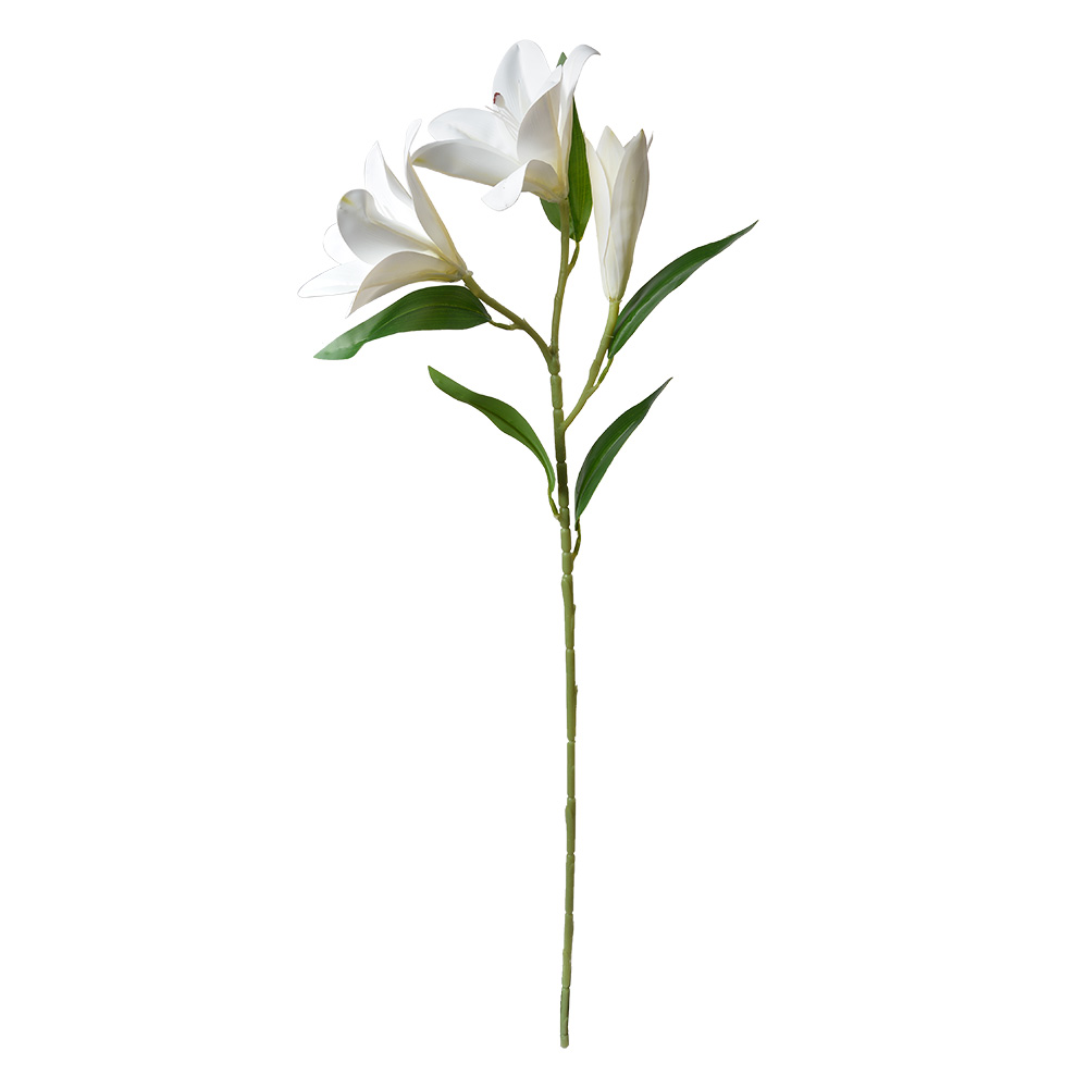 5PL0119W_02.jpg