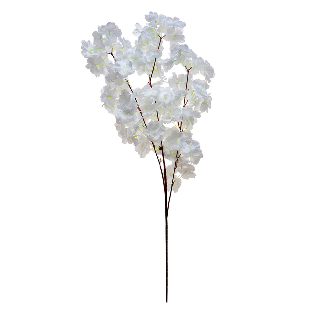 5PL0108W_02.jpg