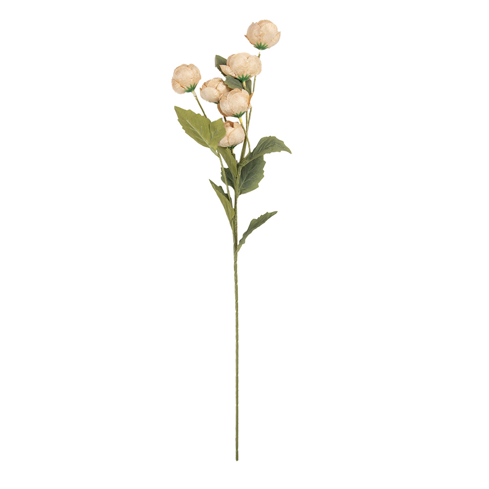 6PL0409Y_02.jpg