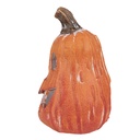 6CE1762_02.jpg