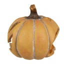 6CE1760_02.jpg