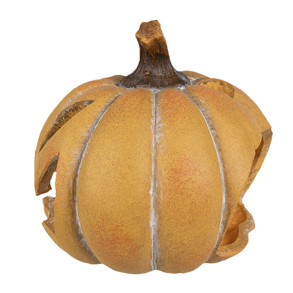 6CE1760_02.jpg
