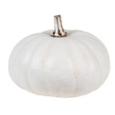 6PR4370_02.jpg