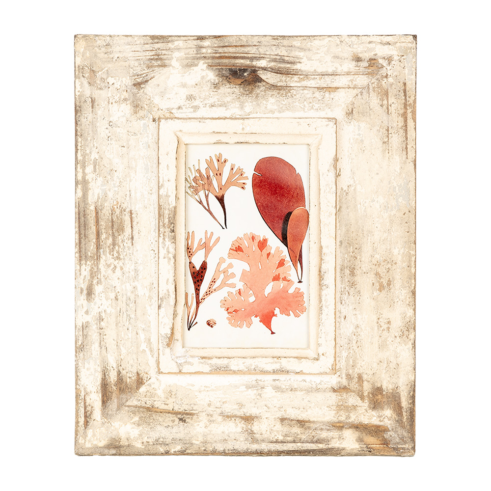 [2F1098] Cornice Foto Beige 24x3x29 cm / 10x15 cm