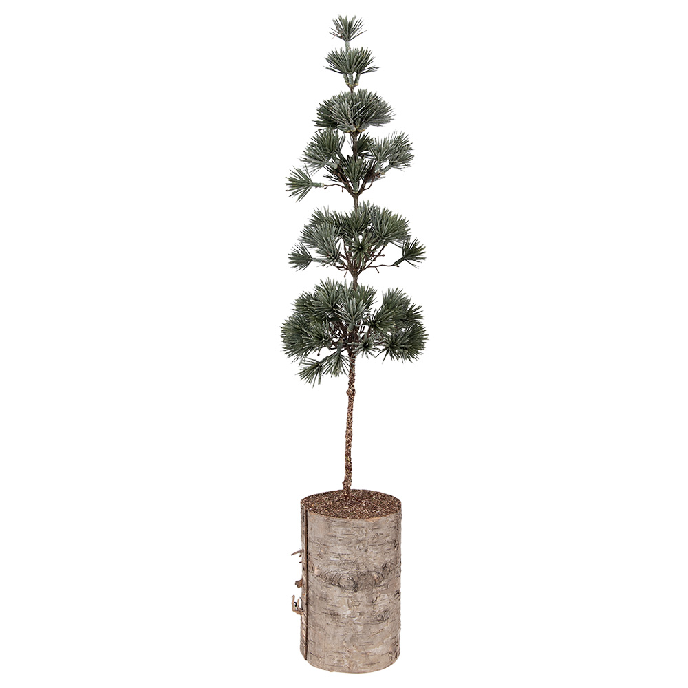 Arbre de décoration Vert Marron 14x14x60 cm