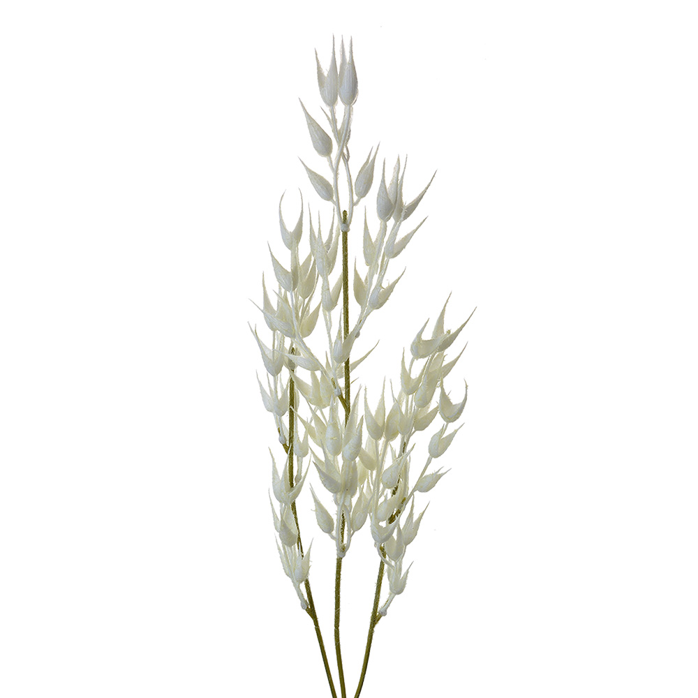 [5PL0060] Decoratie tak 15x2x72 cm