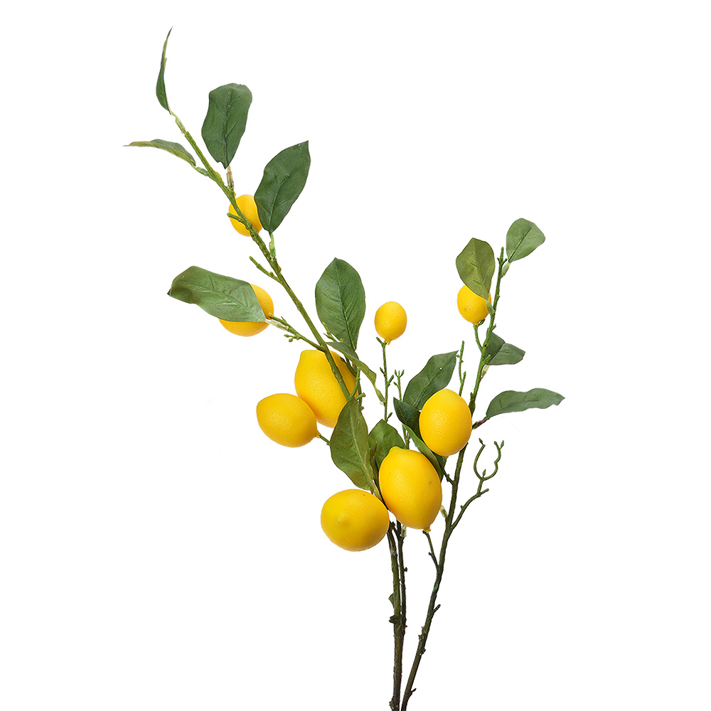 [5PL0105] Decoratie tak met citroenen 20x7x102 cm