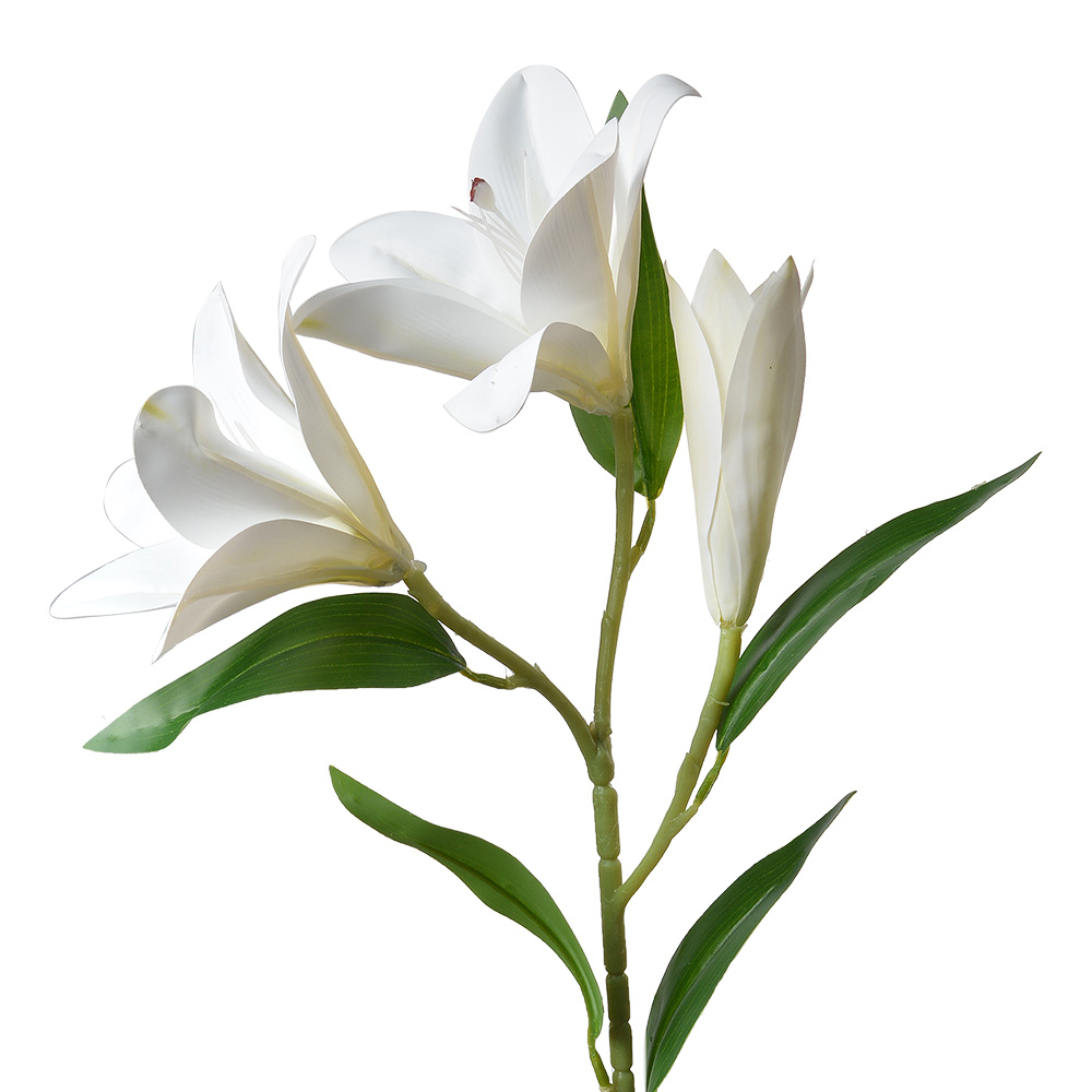 [5PL0119W] Decoratie tak met bloemen 17x12x71 cm