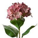Artificial Flower Pink Green 16x15x68 cm