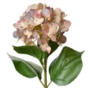 Kunstblumen Rosa Grün 16x15x68 cm