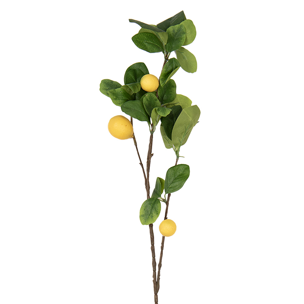 [5PL0141] Rami di limone Artificiali Decorativi Giallo Verde 10x7x73 cm