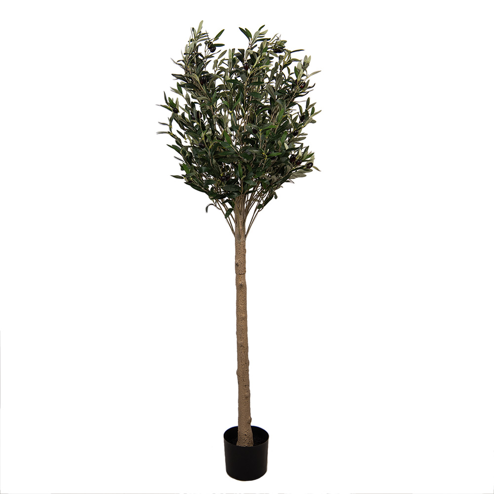 [5PL0148] Albero di decorazione Verde 50x50x165 cm