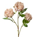 Branche de décoration avec fleurs Rose Vert 12x8x80 cm