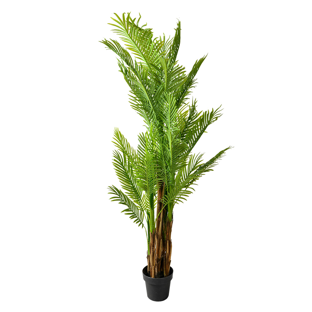 [5PL0180] Decoratie kamerplant 50x50x170 cm