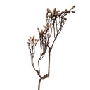 Rami Artificiali Decorativi Marrone Beige 30x4x85 cm