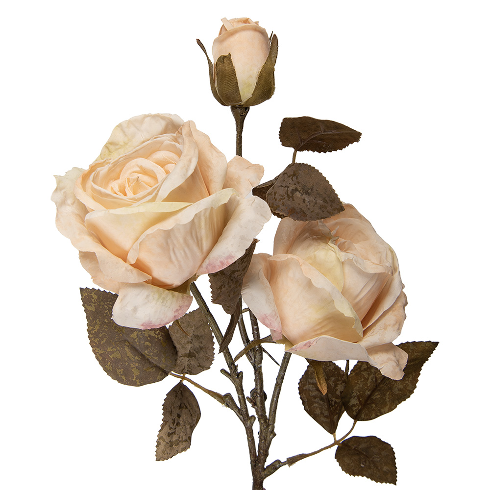 Decoratie tak met bloemen 12x12x70 cm