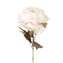 Artificial Flower Peony White Green 14x14x70 cm