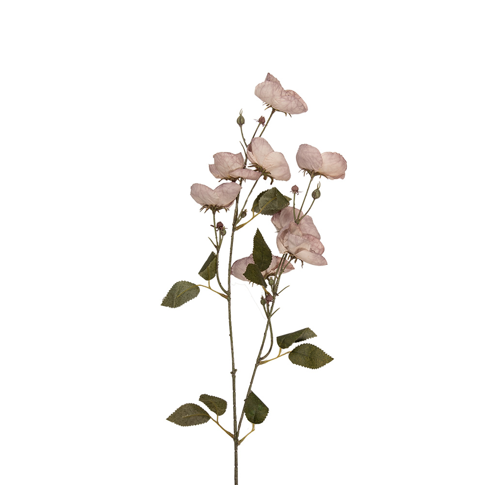 [5PL0268LPA] Decoratie tak met bloemen 10x14x80 cm