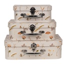Dekorativer Koffer 3er Set Beige 30x21x9/25x18x9/20x16x8 cm