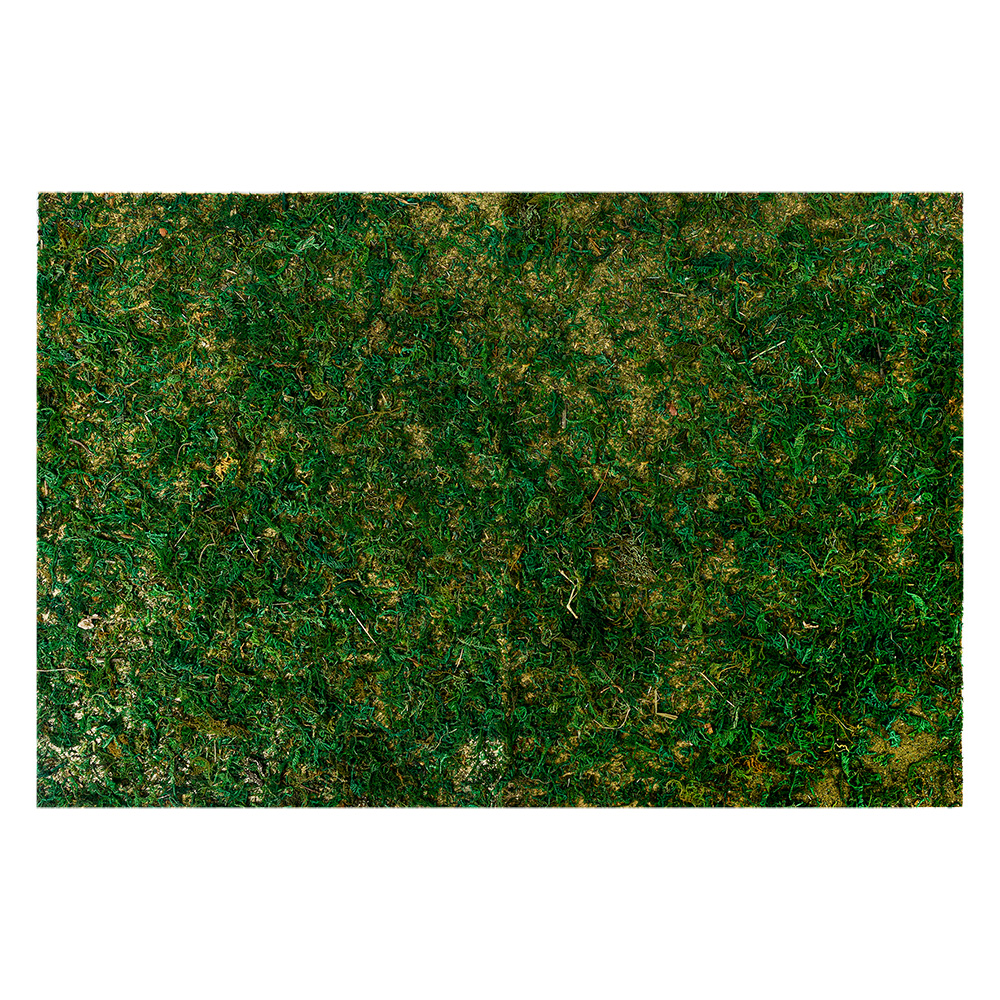 [66121] Moss Mat Green 60x40x1 cm