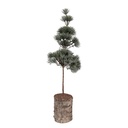 Decorative Tree Green Brown 14x14x45 cm