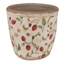 Vaso Porta Pianta Beige, Rosso Ø 16x16 cm