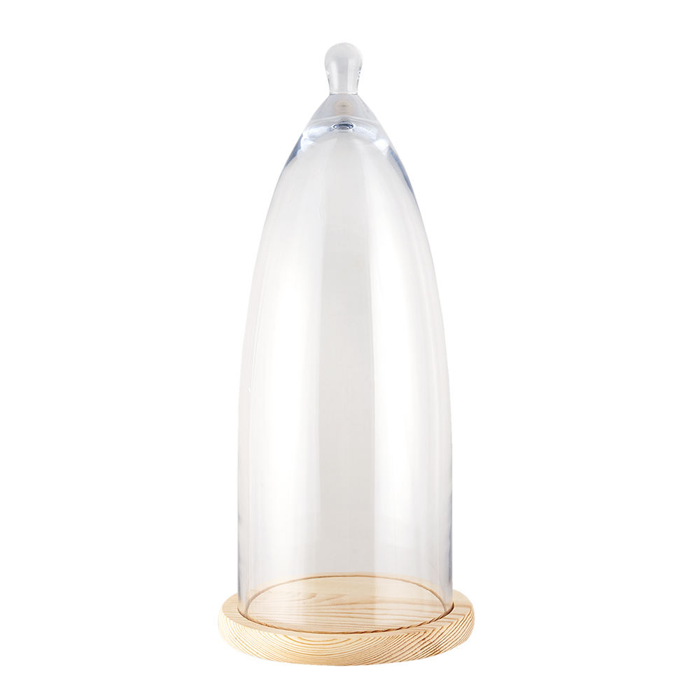[6GL3005] Cloche en Verre Transparent Ø 24x56 cm