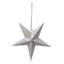 Christmas Decoration Star White 30x10x30 cm