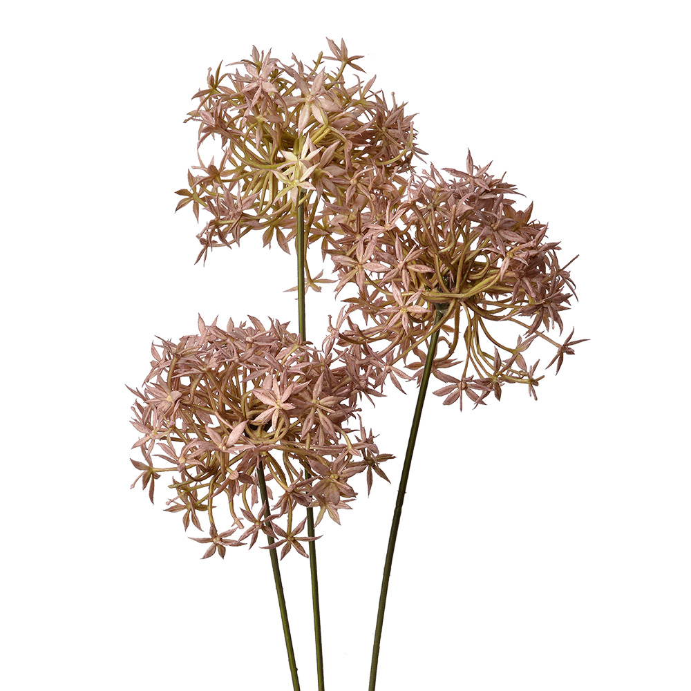 [6PL0326P] Decoratie tak met bloemen 10x10x62 cm