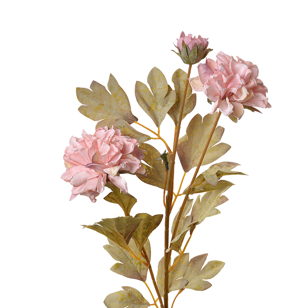[6PL0328P] Decoratie tak met bloemen 9x9x68 cm