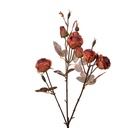 Deko Ast mit Blumen Orange Braun 16x9x73 cm