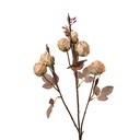 Deko Ast mit Blumen Beige Braun 16x9x73 cm