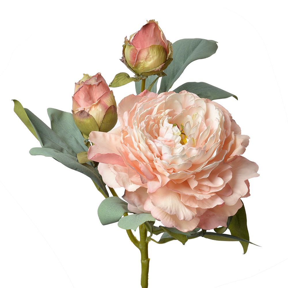 [6PL0332P] Kunstbloem roos 12x12x62 cm