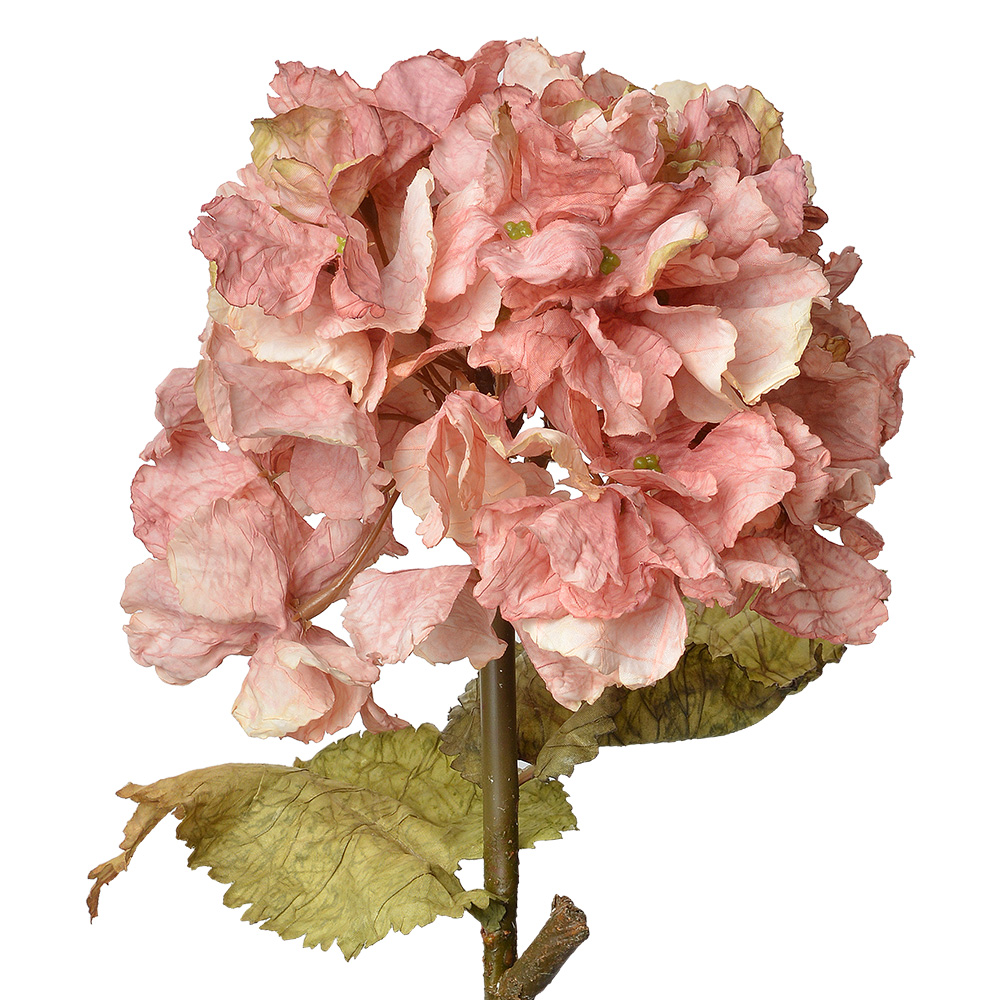 [6PL0333P] Decoratie tak met bloemen 10x10x55 cm