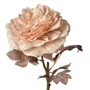 Fleur artificielle Roses Rose 10x10x60 cm