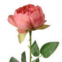 Artificial Flower Roses Pink Green 8x8x62 cm