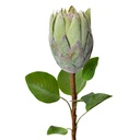Artificial Flower Green 10x10x65 cm