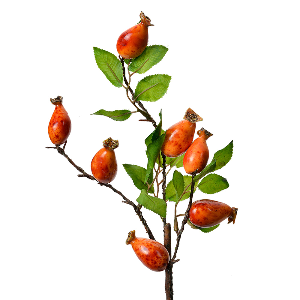 [6PL0390O] Branche de décoration Orange Vert 10x8x50 cm